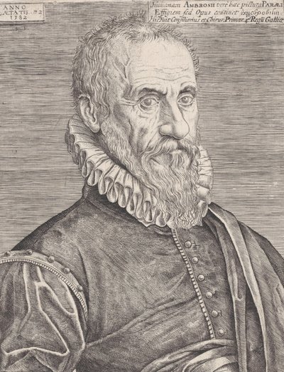 Porträtt av Ambroise Paré, kungens kirurg, 1582. av Etienne Delaune
