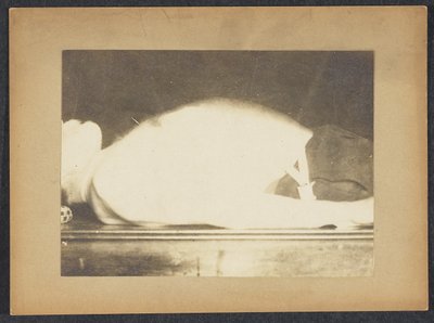Marey i en studie av andning av Etienne Jules Marey