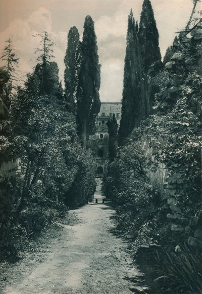Trädgårdarna i Villa d