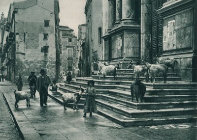 Getter på trappan till katedralen, Palermo, Sicilien, Italien, 1927 av Eugen Poppel