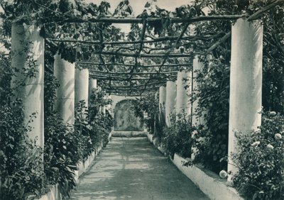 Pergola i en vingård, Capri, Italien, 1927 av Eugen Poppel