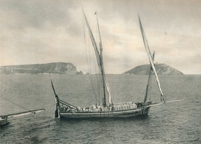 Segelbåt i hamnen i Neapel, Italien, 1927 av Eugen Poppel