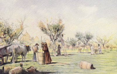 Broder Giles arbetar i vingården (färglitografi) av Eugene (after) Burnand