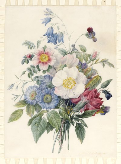 Blue Asters, Rosa Spinosissima Hybrid, Harebell, Violas, Cartnation and a Wild Rose, 1820 (wc & kroppsfärg över grafitkontur på veläng) av Eugene A. L. d Orleans