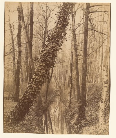  av Eugène Atget
