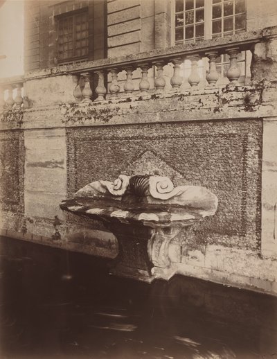 Parc de Sceaux, ca 1857-1927 (foto) av Eugène Atget