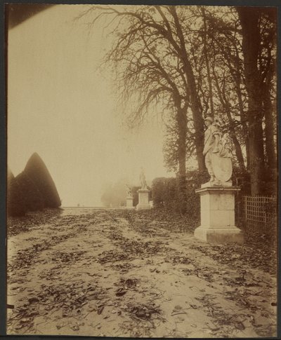Versailles, parken (allé i parken i Versailles) av Eugène Atget