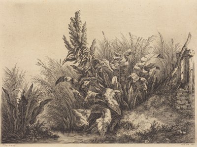 Vattenskräppa av Eugene Bléry