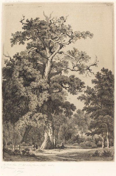 Forntida ek i Bois de Boulogne, 1855. av Eugene Bléry