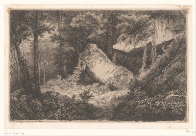 Beväxande rotsen i en bos The White Rocks Svit med 8 etsningar graverade på naturen nära Dampierre av Eug. Bléry (serietitel) av Eugene Bléry