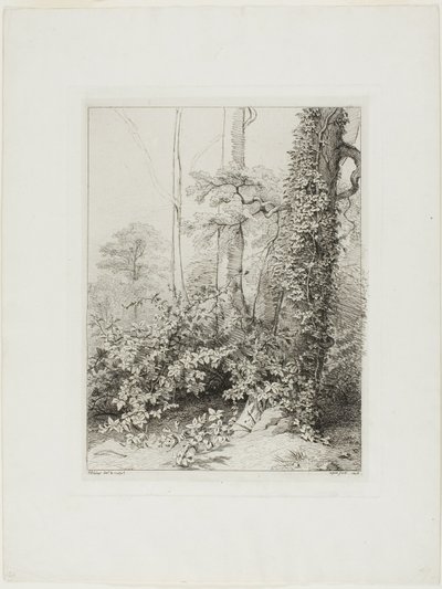 Bramble och murgröna av Eugene Bléry