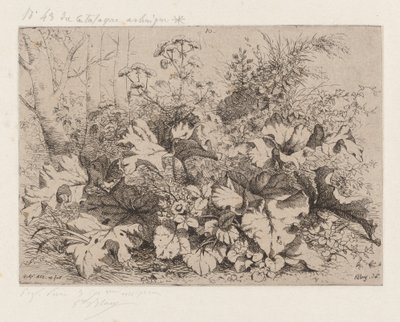 Kardborre i blom, 1858. av Eugene Bléry