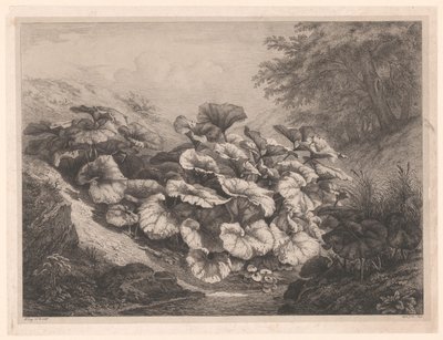Groot hoefblad The Great Coltsfoots Vier grote plant soorten (serietitel) De fyra stora växterna (serietitel) av Eugene Bléry