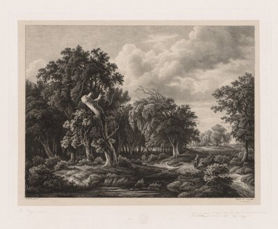 Grupper av olika växter ritade efter naturen: nr 7, 1855. av Eugene Bléry