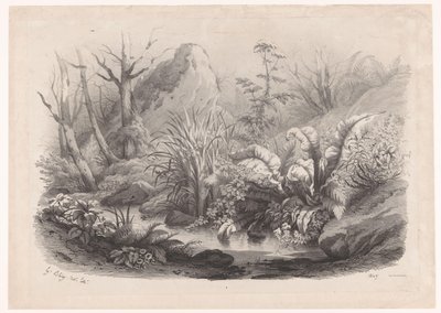 Oeverplanten bij een beek Diverse planter (serietitel) Grupper av olika växter ritade på naturen och litografier (serietitel) av Eugene Bléry