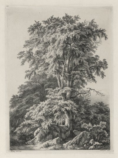 Studier ritade och graverade efter naturen: The Beach, Fontainbleau..., 1840. av Eugene Bléry