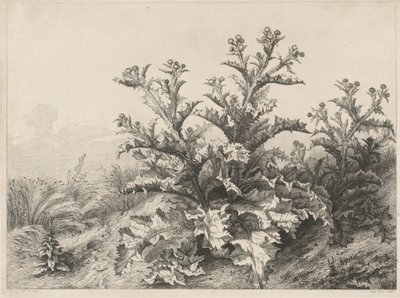 Den stora tisteln (Le Grand Chardon) av Eugene Bléry