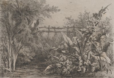 Dammen, 1857. av Eugene Bléry