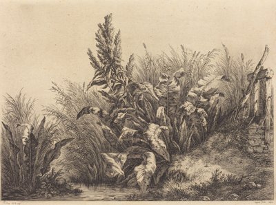 Vatten Dock av Eugene Bléry