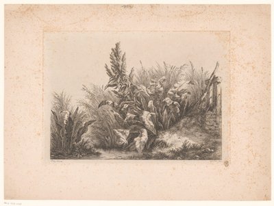 Waterzuring en riet aan de oever Vatten tålamod vid den lilla ventilen Studier ritade och graverade från naturen (...) (serietitel) av Eugene Bléry