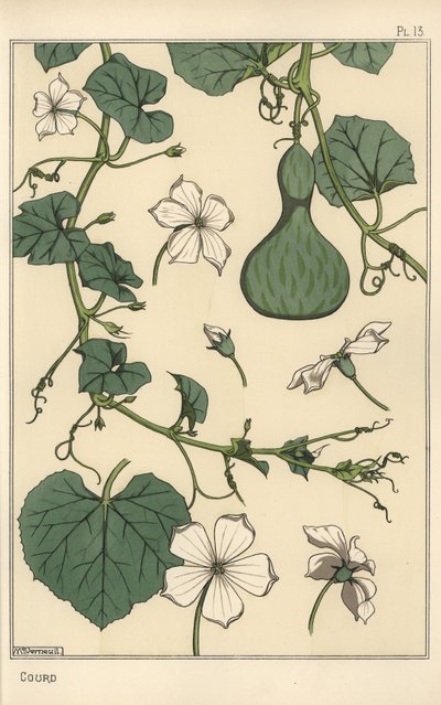 Botanisk illustration av kalebassen av Eugene Grasset