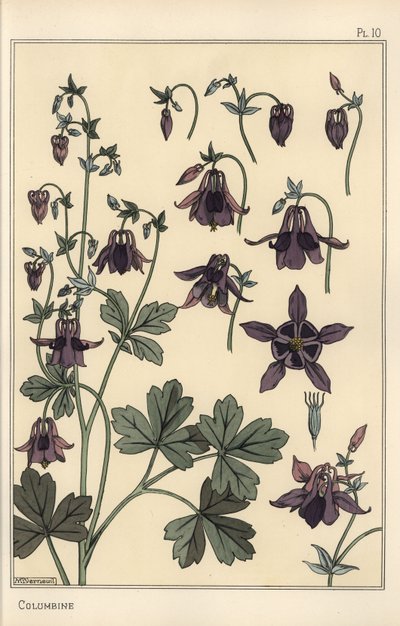 Akleja, Aquilegia vulgaris, blomdelar av Eugene Grasset