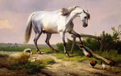 En grå hingst med får och fjäderfä av Eugene Joseph Verboeckhoven