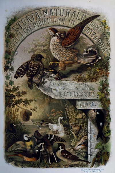 Titelsida av Natural History of Birds that häckar i Lombardiet, av Eugenio Bettoni (1845-1898), gravyr av Oscar Dressler, Italien av Eugenio Bettoni, Oscar Dressler