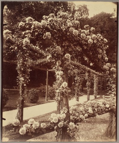 [Jardin de Bagatelle] av Eugène Atget
