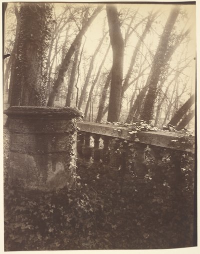 Saint-Cloud Park, Paris av Eugène Atget