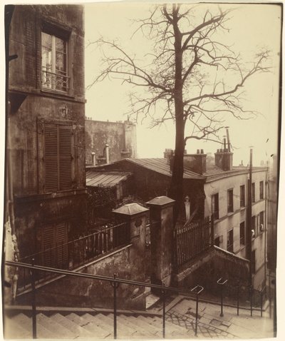 Trappa, Montmartre, 1921. av Eugène Atget