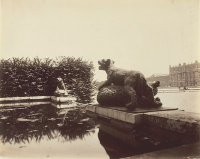 Versailles, Fontaine du Point du Jour, Tiger dräper en björn av Houzeau, 1903. av Eugène Atget