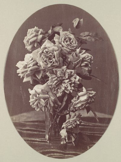 [Rosor], ca. 1875. av Eugène Chauvigné