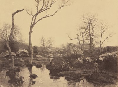 Vackert kors, c. 1858. av Eugène Cuvelier