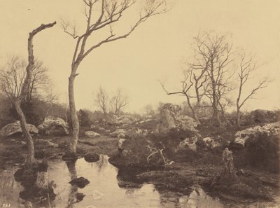Belle Croix, ca 1858 (foto) av Eugène Cuvelier