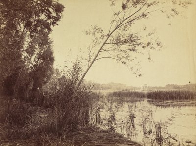 Marais de Fampoux, tidigt 1860-tal. av Eugène Cuvelier