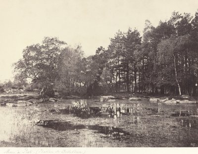 Marsh at Piat (Belle-Croix Plateau) av Eugène Cuvelier