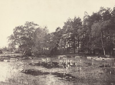 Marsh vid Piat Belle-Croix Plateau, ca. 1863. av Eugène Cuvelier
