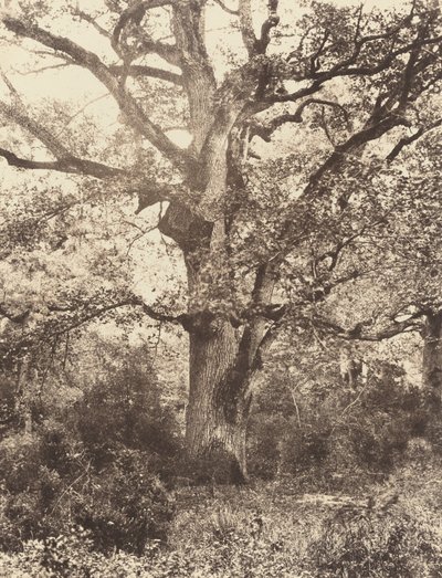 Nära Bodmer, 1860-talet. av Eugène Cuvelier