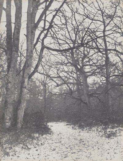 Vägen i skogen, 1860-1863. av Eugène Cuvelier