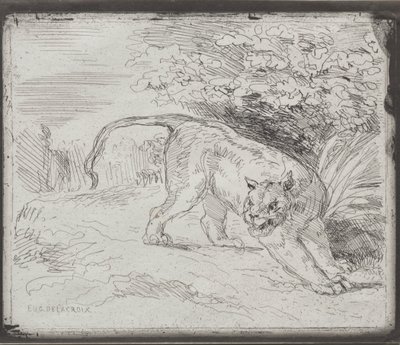 En instängd tiger av Eugène Delacroix