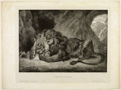 Lejon av Atlasbergen av Eugène Delacroix