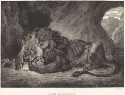 Lion från Atlasbergen Lion de l