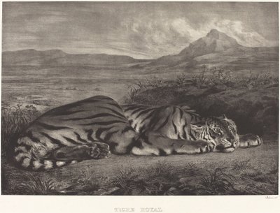 Royal Tiger (Tigre Royal) av Eugène Delacroix