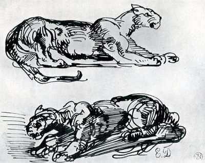 Studies of Panthers, 1913 av Ferdinand Victor Eugene Delacroix