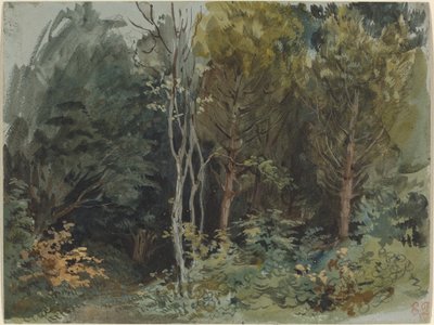 The Edge of a Wood at Nohant, ca. 18421843. av Eugène Delacroix