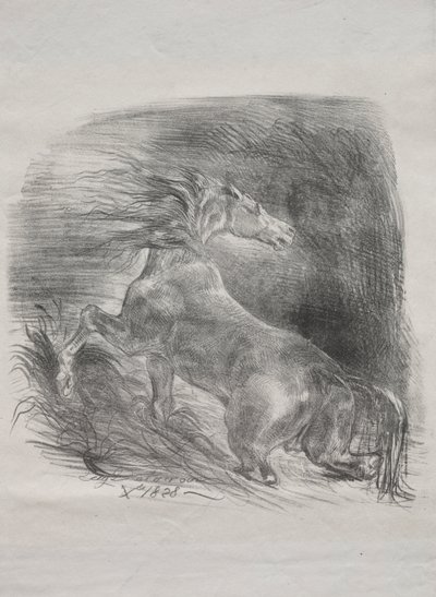 Den vilda hästen, eller den skrämda hästen som lämnar vattnet av Eugène Delacroix