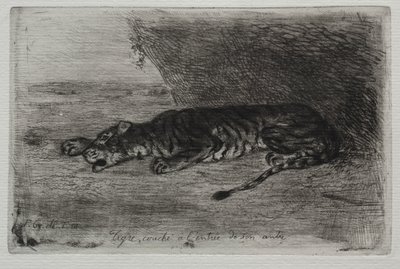 Tiger som sover vid ingången till hans lya av Eugène Delacroix