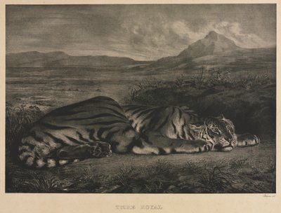 kunglig tiger av Eugène Delacroix