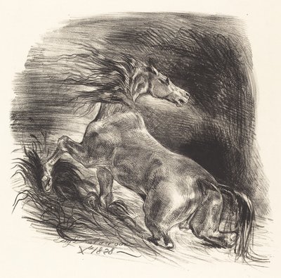 Wild Horse Coming Out of the Water Cheval sauvage, 1828. av Eugène Delacroix